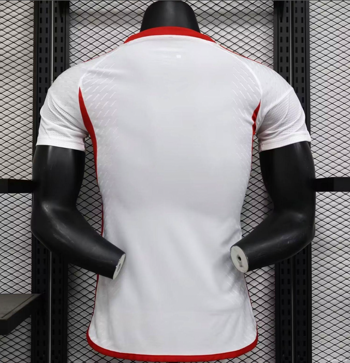 UNITED ARAB EMIRATES HOME KIT 2024