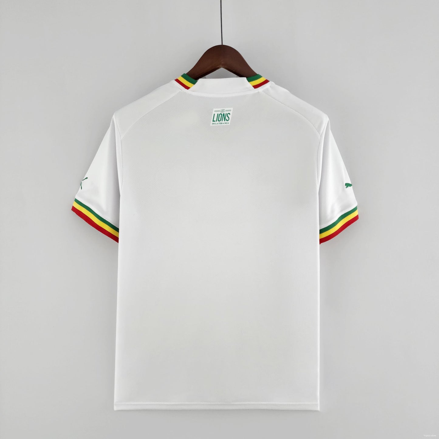 SENEGAL HOME JERSEY 2022